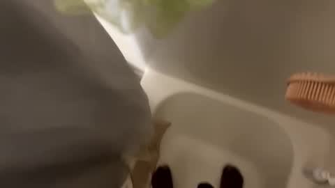 dasquirtmaster online show from 03.29.26