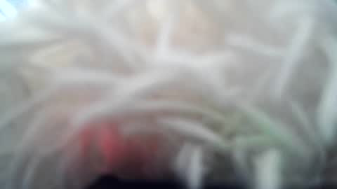 daverz3 online show from 03.04.26