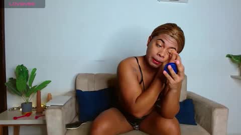 Noha online show from 02.26.26