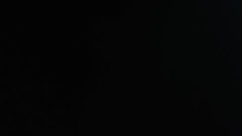 DavidSexxx777 online show from 11.24.25