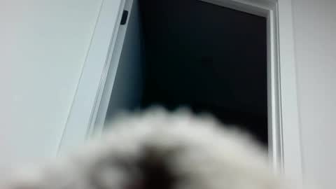 Davvyd online show from 09.18.25