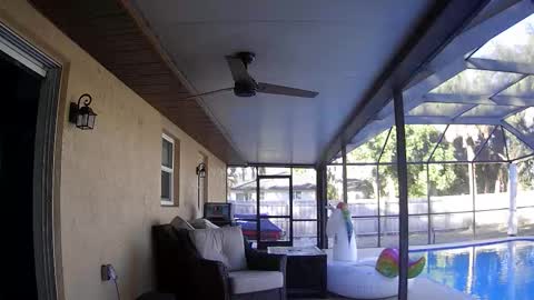 Snapshot of dazeydo chatting on 01.07.26 Dazey online show from 01.07.26