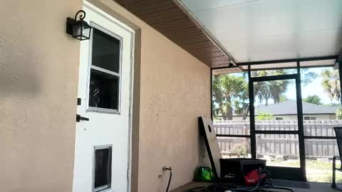 Dazey online show from 04.21.26