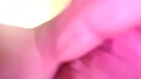 dazzaboxer online show from 11.16.25