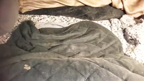 ddick0303 online show from 03.06.26