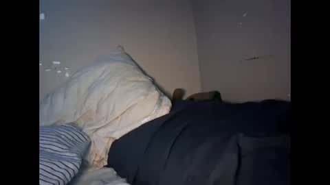 deadbirdink8o8 online show from 03.25.26