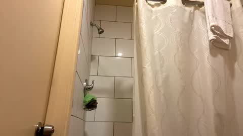 Camila Palacios online show from 01.25.25