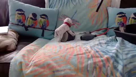 deeperjohnny online show from 10.21.25