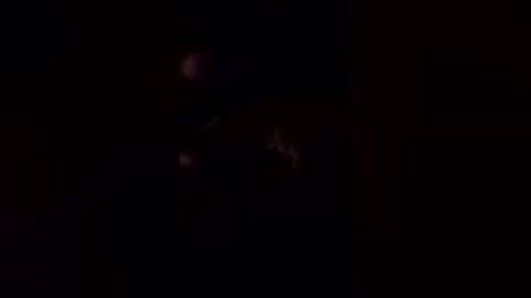 deerpark9 online show from 04.19.26