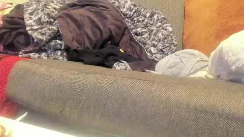 Snapshot of deeznutz343 chatting on 09.09.25 Deez Nutz online show from 09.09.25