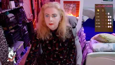 Delicacat online show from 10.17.25