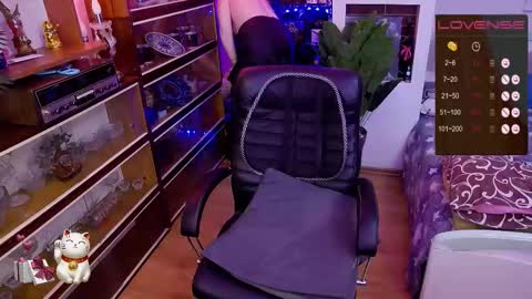 Delicacat online show from 02.01.26