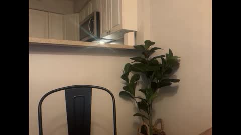 Snapshot of delightfuldark chatting on 02.24.26 delightfuldark online show from 02.24.26