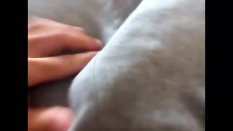 deliv_shopi online show from 11.17.25