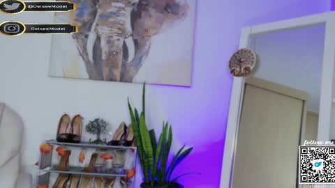  Delsee   online show from 02.05.26