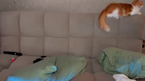 Victoria and Nara twitterinstagram dementra rawrr online show from 03.08.25