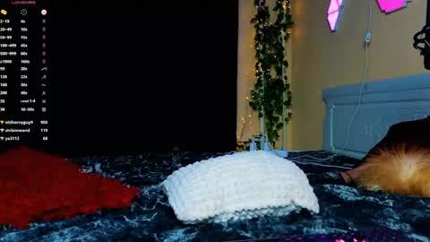 Demmi online show from 02.15.25