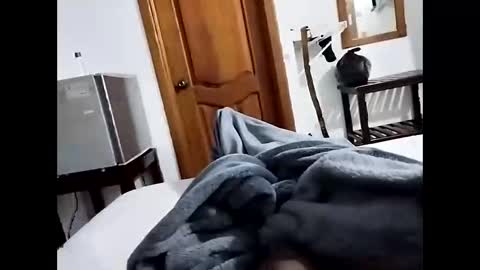 denier online show from 12.15.25