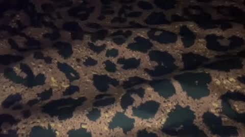 derek829099 online show from 09.11.25