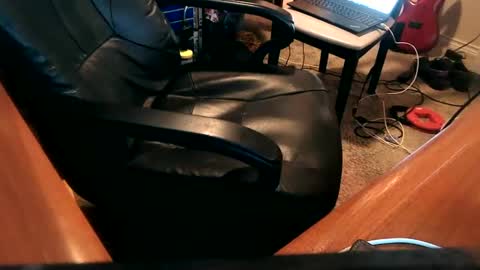 Snapshot of dfwgonewrong chatting on 12.25.24 dfwgonewrong online show from 12.25.24