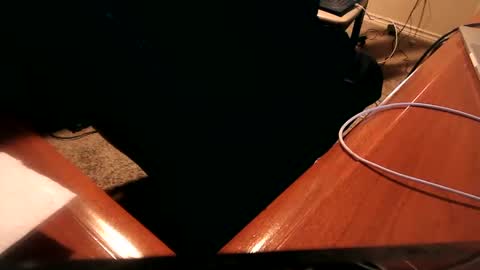 Snapshot of dfwgonewrong chatting on 01.02.25 dfwgonewrong online show from 01.02.25