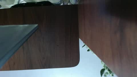 Snapshot of diana_smit_ chatting on 01.01.25 diana online show from 01.01.25