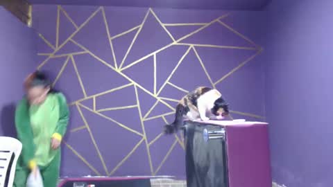 Snapshot of diana_smit_ chatting on 01.12.25 diana online show from 01.12.25