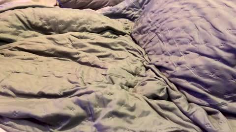 Snapshot of dicapri91 chatting on 01.17.25 dicapri91 online show from 01.17.25