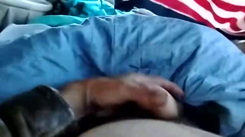 Dickbowen online show from 11.01.25