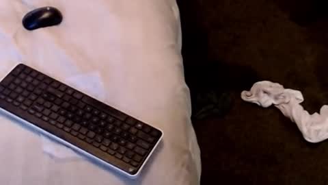 Sparkx online show from 12.22.25