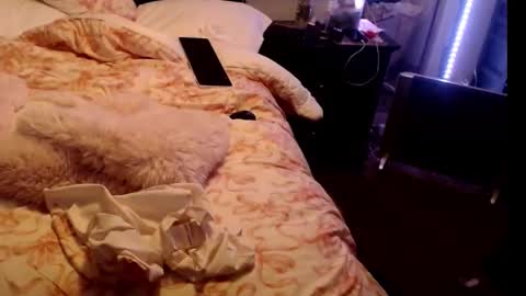 Snapshot of dickgiggler chatting on 02.24.26 Sparkx online show from 02.24.26