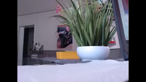 Snapshot of didiegal chatting on 11.01.25 squirtcock online show from 11.01.25