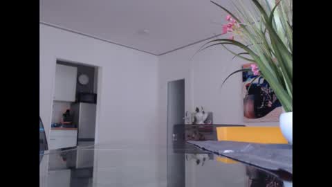 Snapshot of didiegal chatting on 11.08.25 squirtcock online show from 11.08.25