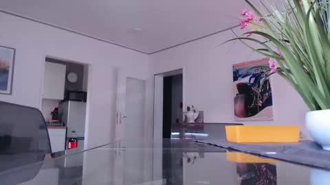 Snapshot of didiegal chatting on 11.16.25 squirtcock online show from 11.16.25