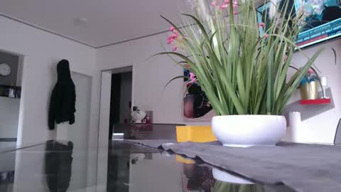 squirtcock online show from 02.02.26