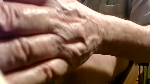 Snapshot of digbird1 chatting on 01.29.25 dbNorth online show from 01.29.25