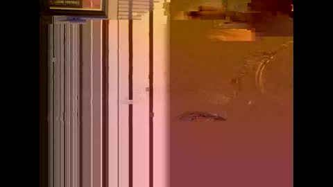 Snapshot of dildosnme22 chatting on 01.13.25 dildosnme22 online show from 01.13.25