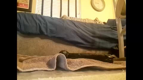 Snapshot of dildosnme22 chatting on 03.10.25 dildosnme22 online show from 03.10.25