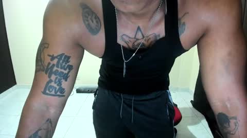 dilan online show from 12.11.24