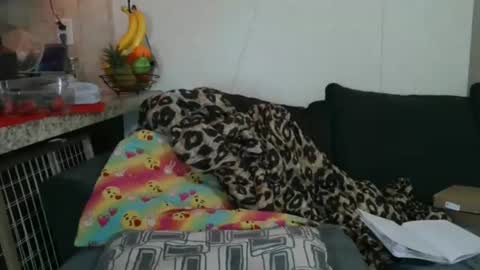 Sofie online show from 11.25.25