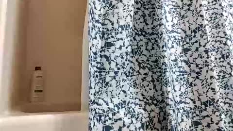 DIPSTIK online show from 11.30.25