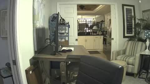 DirtkPitt Fun guy working online show from 02.09.25