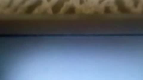 free4fun online show from 04.09.26