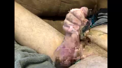 Snapshot of dirtykurty5000 chatting on 09.12.25 Dirtykurty5000 online show from 09.12.25