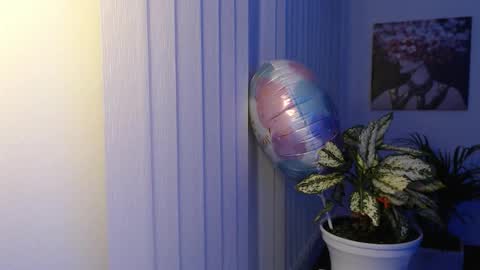 Hera online show from 11.26.25