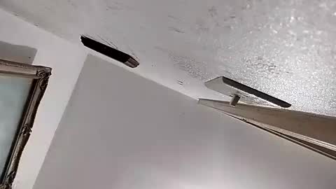 Snapshot of dixonbird41 chatting on 02.11.25 dixonbird41 online show from 02.11.25