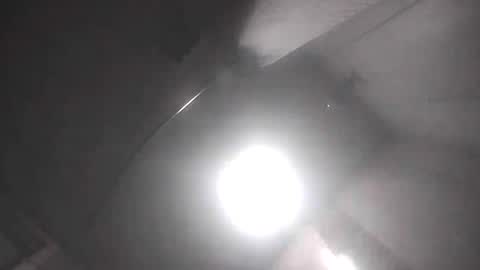 dixonbird41 online show from 04.17.26