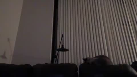 DJ Chaterbate online show from 01.14.26