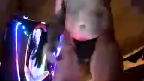 djceasar online show from 07.20.26