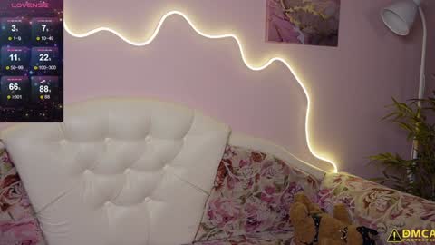 djokonda online show from 02.08.25